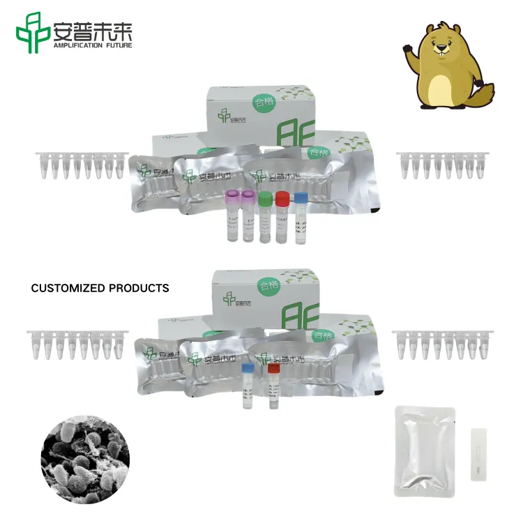 MIRA YERSINIA PESTIS CAF1遺伝子核酸テストストリップ検出キット調査のみ